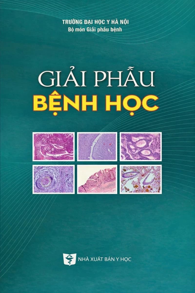 Giải Phẫu Bệnh Học YHN PDF 2025