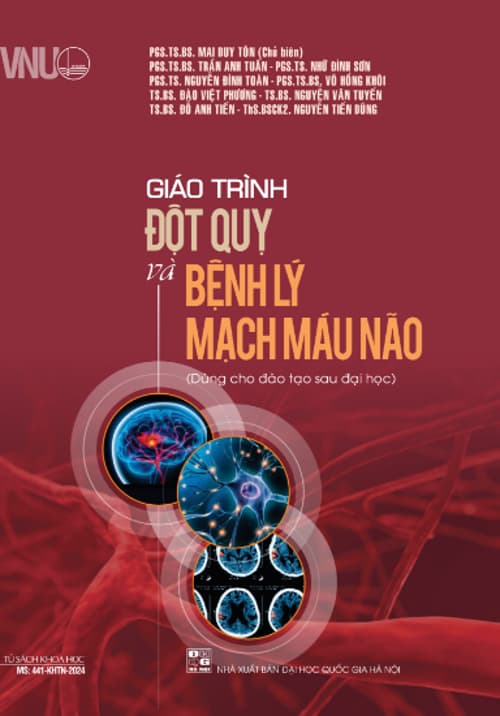 Giáo trình Đột quỵ và Bệnh lý Mạch máu Não PDF